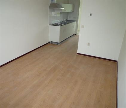 Apartment for rent 770 euro Wittebollestraat, Tilburg